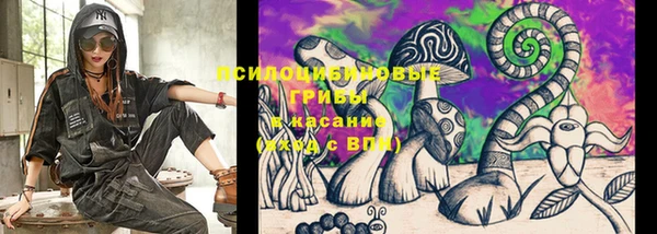 2c-b Елизово