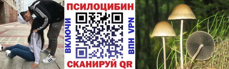 Галлюциногенные грибы мицелий  Пустошка 